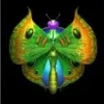 Символ игрового автомата Panther Moon Бабочка