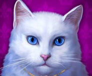Символ игрового автомата Diamond Cats Белый кот