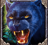 Символ игрового автомата Book Of Panther Wild Dawn Пантера