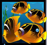 Символ игрового автомата Dolphins Pearl HD Рыбы